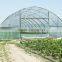 Economical Plastic Greenhouse Roll Up Motor for Ventilation