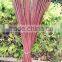 Bamboo garden canes growing sticks for planting support DYED BROWN