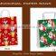 Paper Bags design logo and matte finish with rope handles