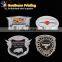 3D plastic Car Logo /Custom Car Emblem /ABS Chrome stickers