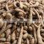 Multifunction starch machine /cassava starch price/starch production line