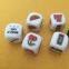 wholease heat printing 16mm plastic acrylic dice/board game dice