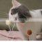 Electric Pet Toy Cat Teasing Toy Stick Cat Entertaining Toy Replaceable Fittings Pet Supplies