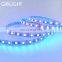 High brightness 5050 4 color in 1 led addressable rgbw and single color led strip