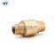 BT5012 вертикальный обратный клапан