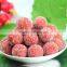 Hawthorn Piece sugar coated Jelly Sour ring Candy