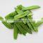 High Quality IQF Snow Peas Frozen Peapods