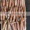 whole round frozen todarodes pacificus squid japanese flying squid