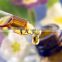 Organic 100% herbal best Premium Aromatherapy Spa Bulk diffuser Essential Jojoba Oil