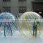 2016 Newst Inflatable Water Walking Ball for Sale
