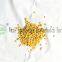 Cost-saving, Excellent dispersion cotton films multi-functional masterbatch