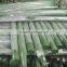 Plastic PVC Pine Needles Both end Feather/Fork ( Any color and Dia can meet )