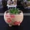 unique "pinsun" style ceramic flower pot