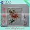hollow glass blocks in shahe hebei, clear glass bricks prices, stained glass blocks