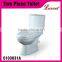 Economic shower room Washdwon wall mounted one piece Toilet