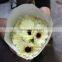 Fresh new coming decorative fresh cut flower gerbera