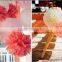 10pcs 8 Inch Tissue Paper Artificial Flower Ball Poms Wedding Party Decor DIY Craft Decoration