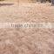 Natural raw sisal fiber for gypsum/plaster price cheaper than kenya