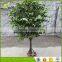 wholesale plastic true trunk high simulation banyan bonsai tree for sale