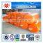 Protect the vessel facilities floating dock marine fender