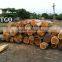Vietnamese teak wood log