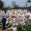 Quartz Silica lumps/boulder