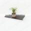 display MDF wall shelf