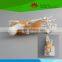 High quality Life-size foot joint with ligaments for medical aid