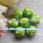 Assorted of 12/14/16/18/20/24MM Round Acrylic Resin Polka Dot Beads Plastic beads for Jewelry Making