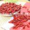 Bulk Goji Berries--production Base