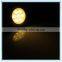High Power 7W Epistar 3000-3500K Warm White Led Ceiling Light