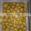 Peeled chestnut price good packing with vacuum importers from overseas