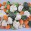 Mixed Vegetables Frozen Product