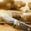 Fresh Ginger from Vietnam, High quality, organic, by HAGIMEX