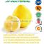 food grade grapefruit powder ISO, GMP, HACCP, KOSHER, HALAL certificated manufacture