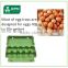 High quality recycle paper big green egg packaging tray with cover