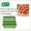 Eco friendly recycled paper egg packing tray for sale
