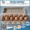 Factory price cardboard 12 egg cartons