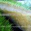 STAR GF300 Hydroponic Fodder Machine / Green Fodder Machine / Barley Fodder Machine