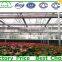 Venlo Glass Greenhouse