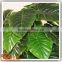 Factory wholesale uv artificial outdoor plants decoration plants