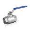 Stainless Steel Sanitary 2pc Ball Valve