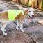 Protect hi vis pets vest with Adjustable Strap for safety