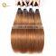 Mink Brazilian Hair Colored Human Hair Weave Bundles Two Tone Remy Hair Extension