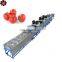 Fruit & Vegetable Washing Drying Waxing Sorting Line Machine for apple tomato /Fruits Processing