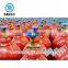 liquid oxygen cylinder price
