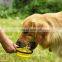 Best Price Superior Quality Red Pet Drinking Collapsible Dog Bowl Luxury