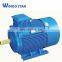 100kw brushless Three Phase Ev Electric Ac squirrel-cage Induction Motors