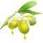 high purity wholesale olive oil pomace