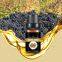 grape seed oil carrier essential oil